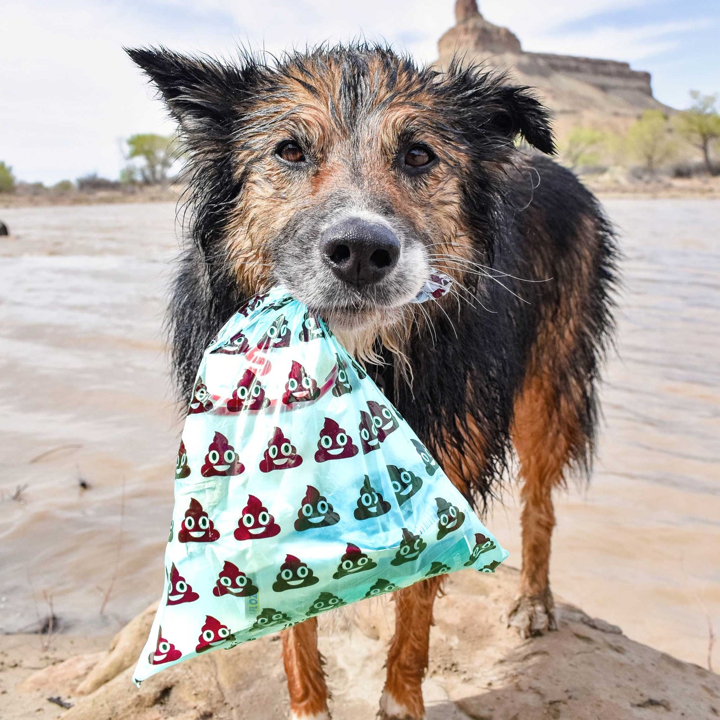 Biodegradable Dog Poop Bags