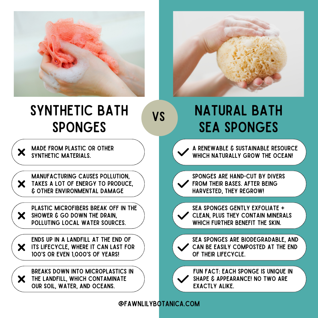 NATURAL + SUSTAINABLE BATH SEA SPONGES