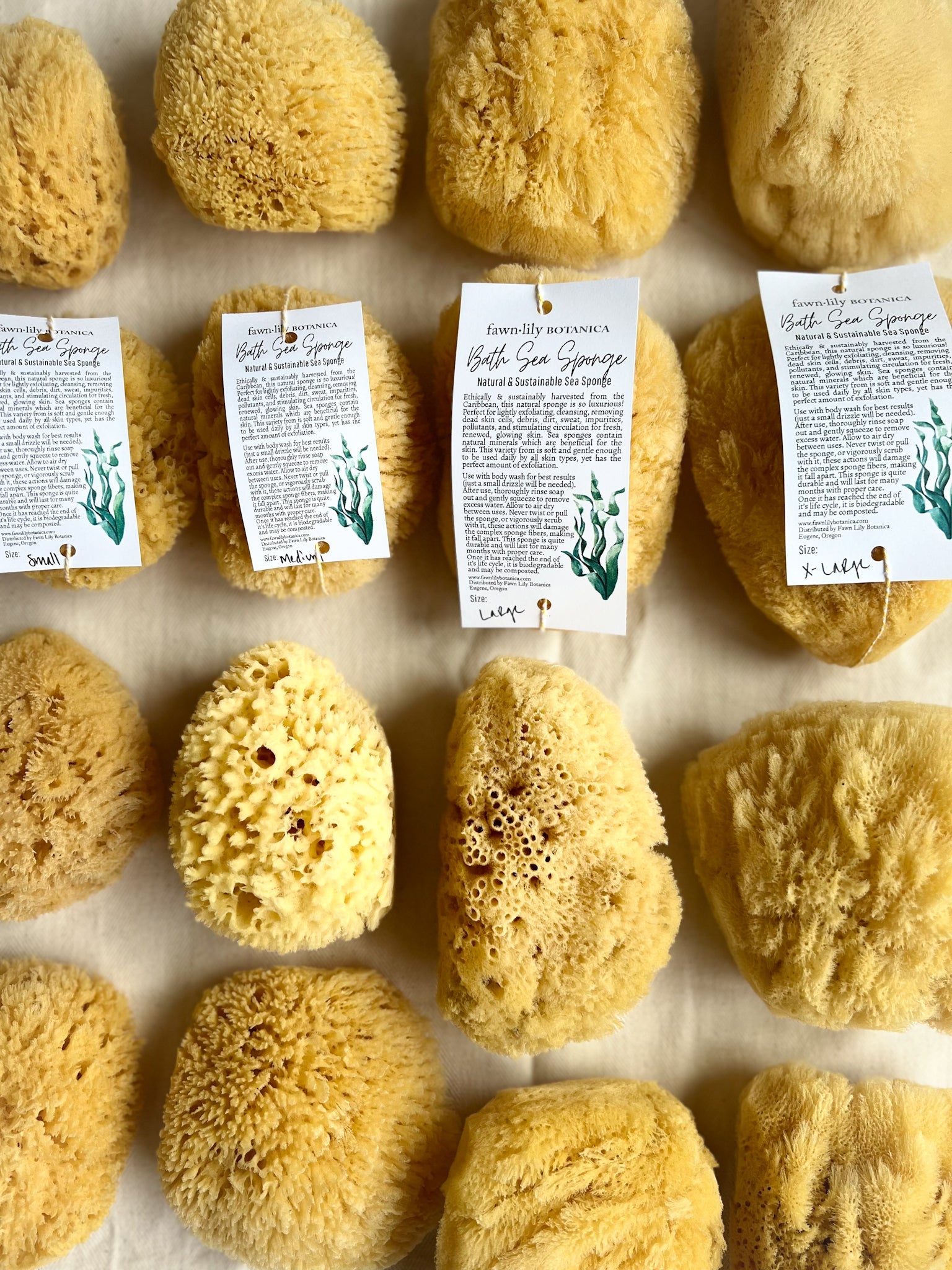 NATURAL + SUSTAINABLE BATH SEA SPONGES