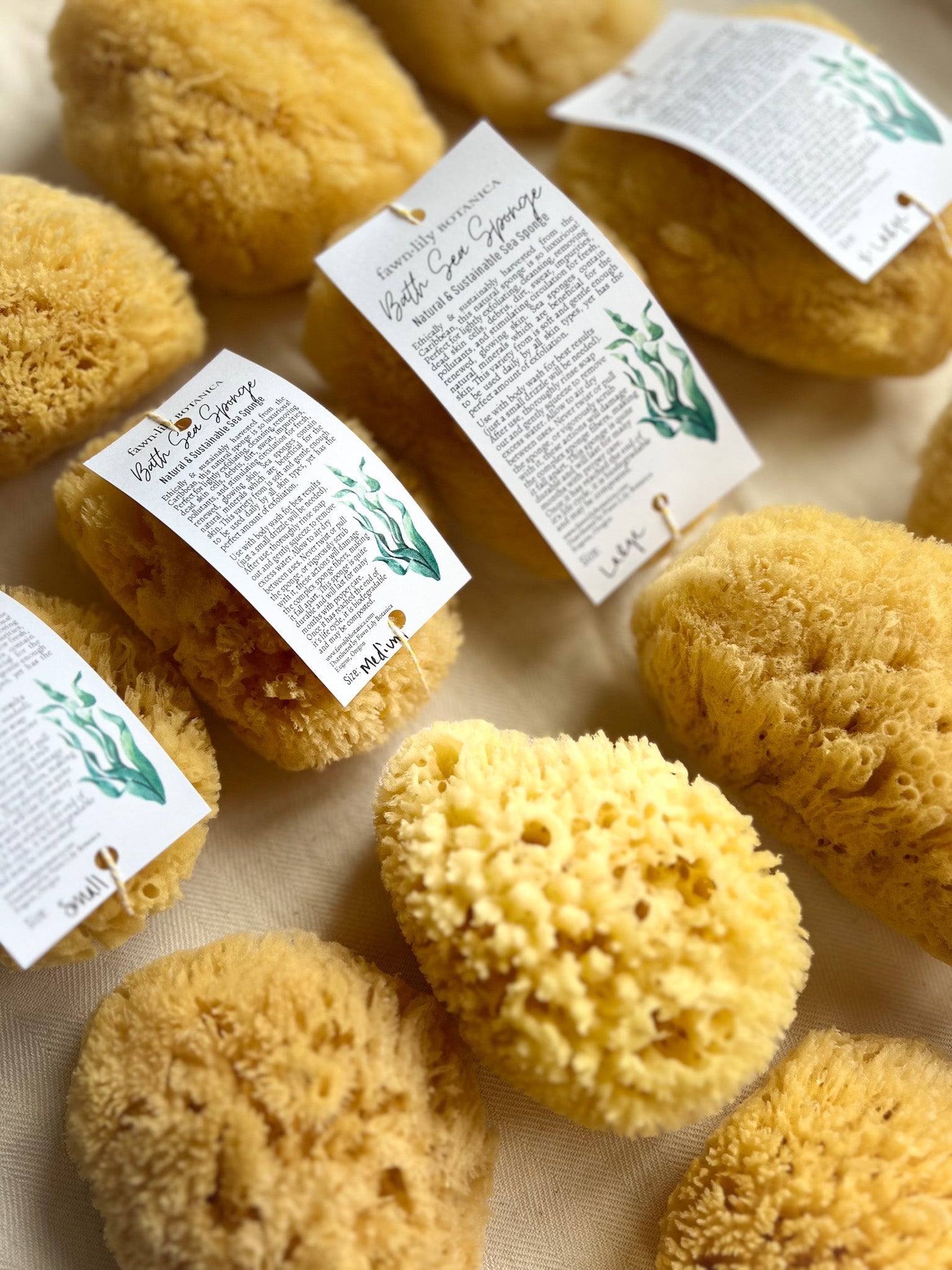 NATURAL + SUSTAINABLE BATH SEA SPONGES