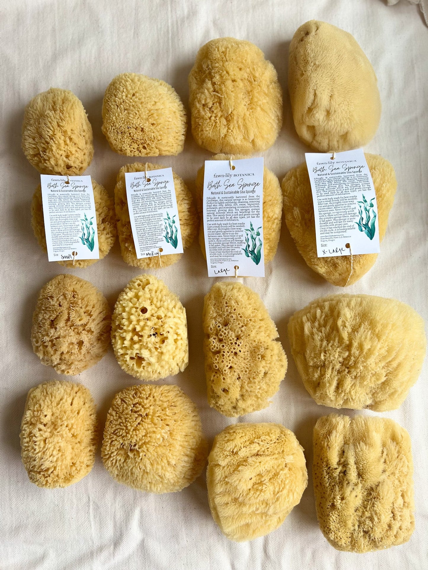 NATURAL + SUSTAINABLE BATH SEA SPONGES