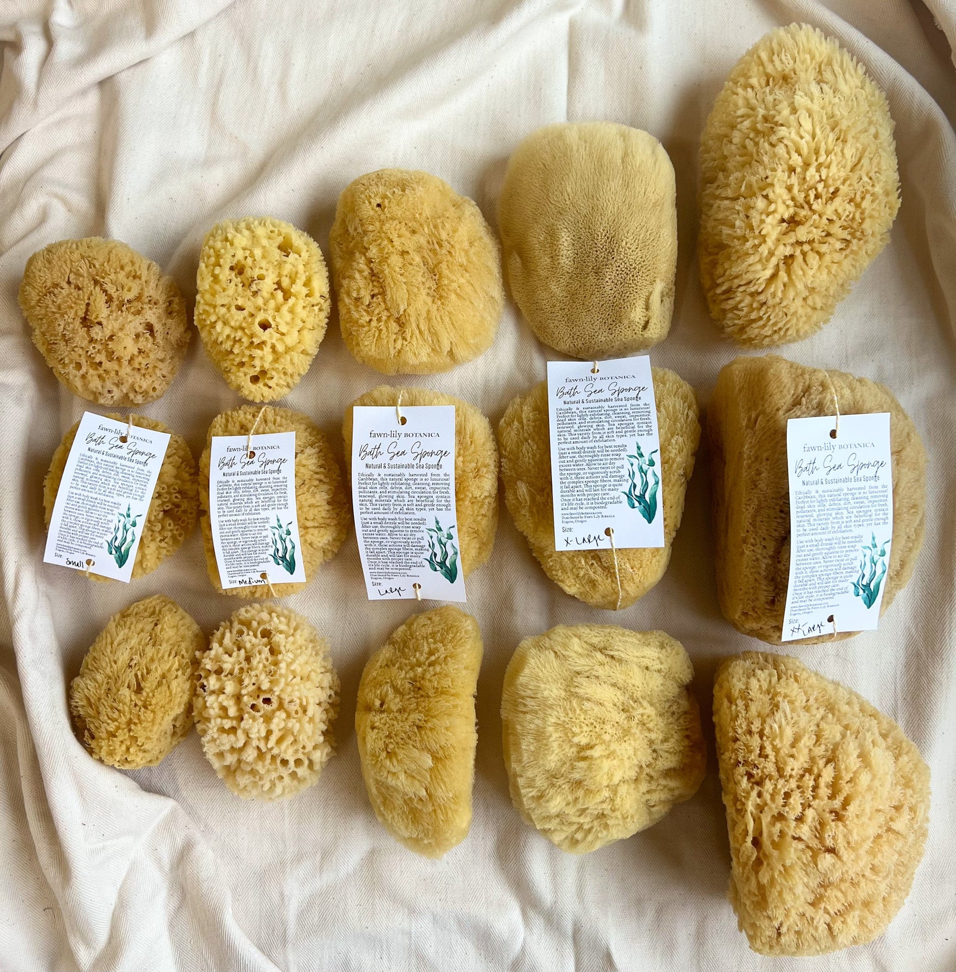 NATURAL + SUSTAINABLE BATH SEA SPONGES